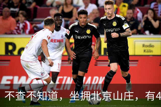 不查不知道，坐拥北京山庄，有4个孙子孙女的陈佩斯，私下有多壕